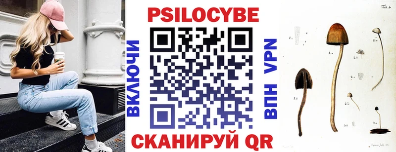 Галлюциногенные грибы Psilocybine cubensis  купить наркотик  Новодвинск 